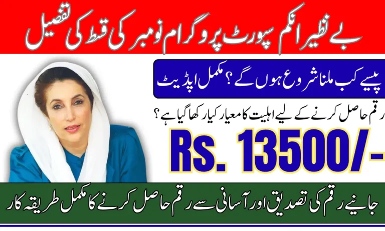 BISP 8171 November 2025 Payment Schedule, Requirements, And Verification Step-by-Step Guide