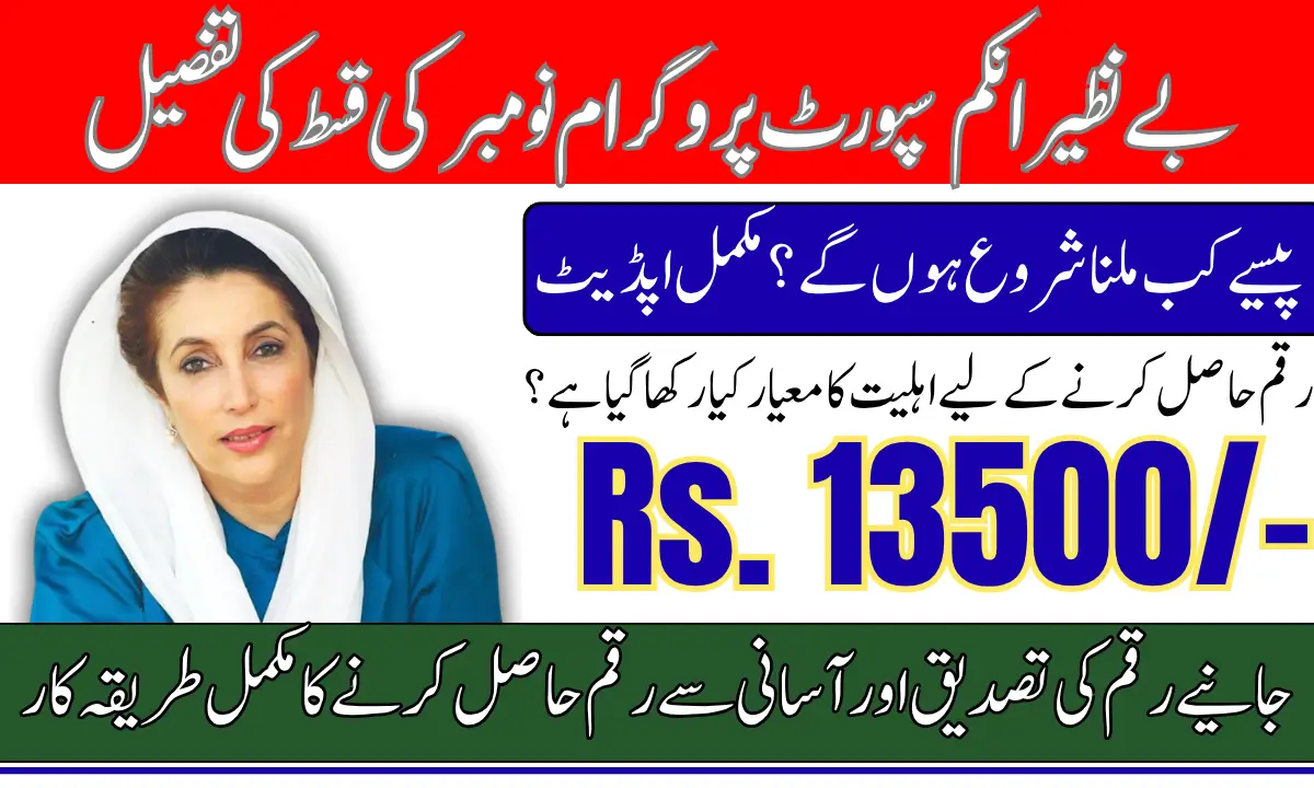 BISP 8171 November 2025 Payment Schedule, Requirements, And Verification Step-by-Step Guide