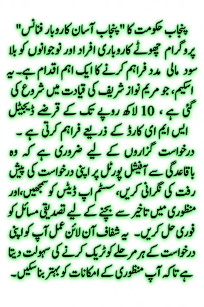 Punjab Asaan Karobar Finance 2026 Complete Guide to Track Your Application and Fix Approval Issues