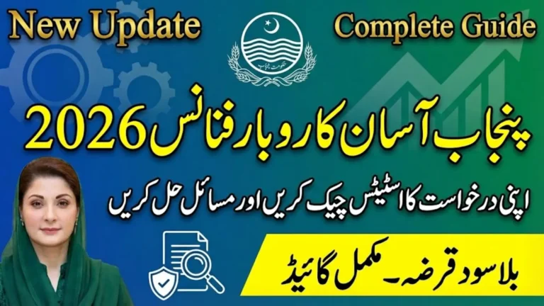 Punjab Asaan Karobar Finance 2026 Complete Guide to Track Your Application and Fix Approval Issues